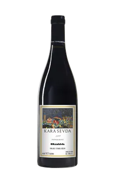 참리자 카라 세브다 파파즈카라스 2019