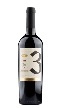 3번 트레 포르테