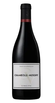 드셀엣필스 샹볼뮤지니 2019