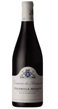 보몽 샹볼뮤지니 레 샤르단 2020