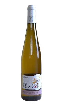 피노그리 슈타인베그 2018