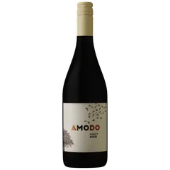 아모도 피노누아 2021