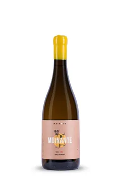 모이난트 두플라 컬티멘타 2022