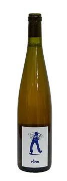 빼빵 오렌지 2024