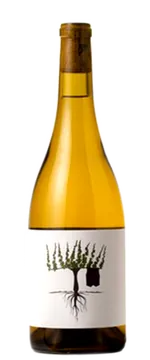 루디 리즐링 2021