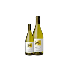 에나떼 샤도네이 234 2024