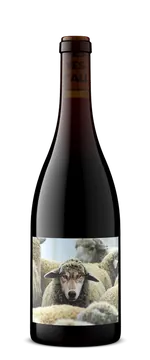 메종누아 인 쉽스 클로딩 피노 누아 2023