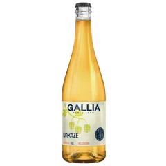 갈리아 코지테이션