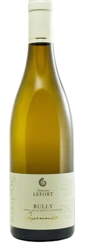 다비드 르포르 륄리 블랑 샤포니에르 2023