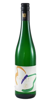 찔리켄, 버터플라이 2023