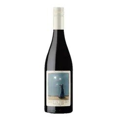 루시 인 더 스카이 피노누아 2024